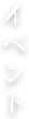イベント